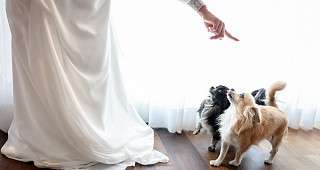 Hochzeit Getting Ready im Hotelzimmer_Photo by Mischa Baettig