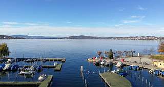 Marina Lachen Aussicht auf den Lachner Hafen Marina Lachen Aussicht auf den Lachner Hafen