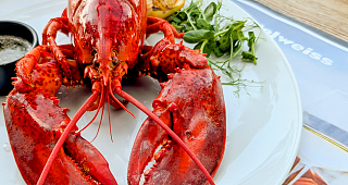 Hummer-Woche ganzer Hummer