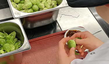 Lehrstellen an der Marina Lachen Lehrstellen an der Marina Lachen