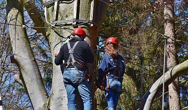 Teamevent Zwei Personen gesichert auf Seilpark