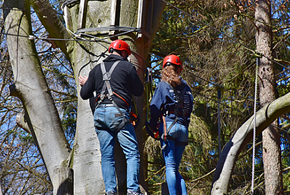 Zwei Personen mit Sicherung auf dem Seilpark
